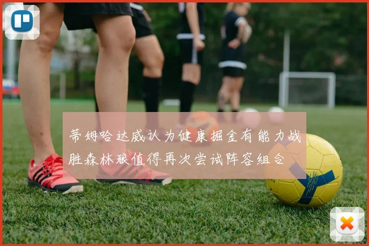 蒂姆哈达威认为健康掘金有能力战胜森林狼值得再次尝试阵容组合
