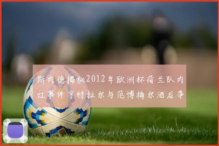 斯内德揭秘2012年欧洲杯荷兰队内讧事件亨特拉尔与范博梅尔酒后争执内幕