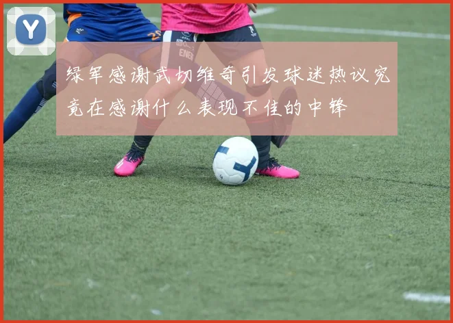 绿军感谢武切维奇引发球迷热议究竟在感谢什么表现不佳的中锋