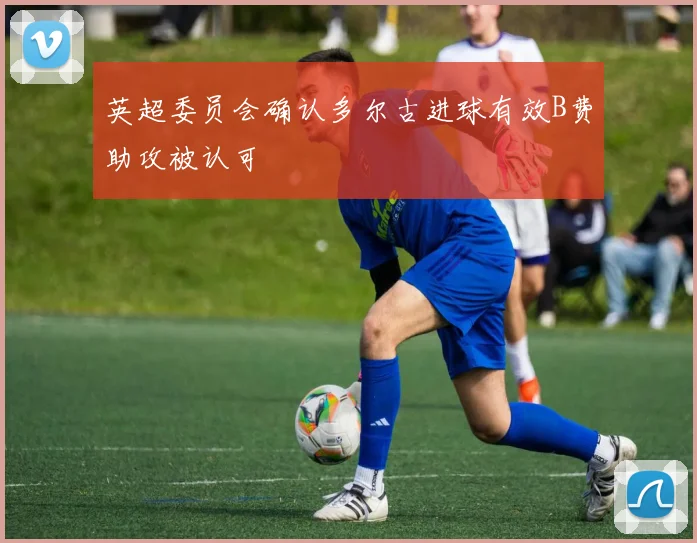 英超委员会确认多尔古进球有效B费助攻被认可